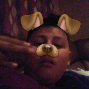 Meet your Posher, Elmer